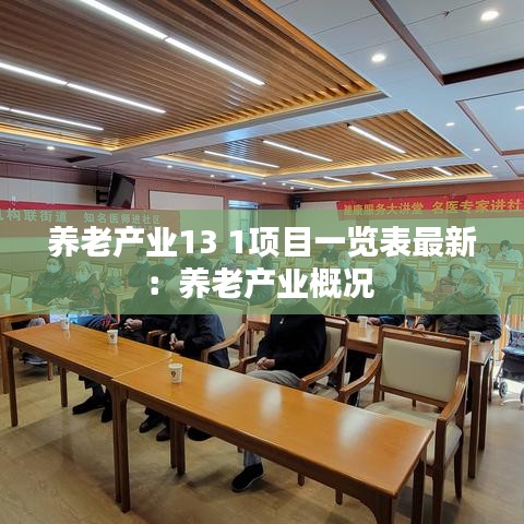 養(yǎng)老產(chǎn)業(yè)13 1項目一覽表最新：養(yǎng)老產(chǎn)業(yè)概況 