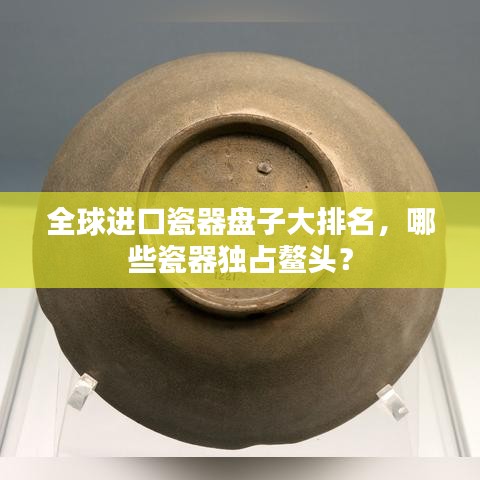 全球進口瓷器盤子大排名，哪些瓷器獨占鰲頭？