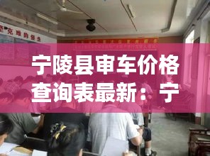 寧陵縣審車價格查詢表最新：寧陵縣車管所服務(wù)大廳 