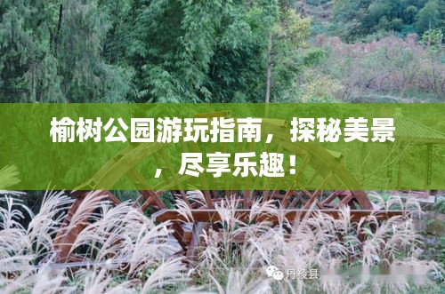 沉厚寡言 第2頁(yè)