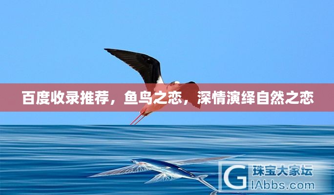 百度收錄推薦，魚(yú)鳥(niǎo)之戀，深情演繹自然之戀