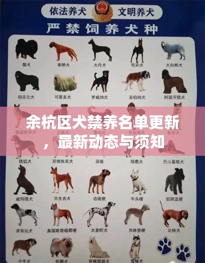 余杭區(qū)犬禁養(yǎng)名單更新，最新動態(tài)與須知