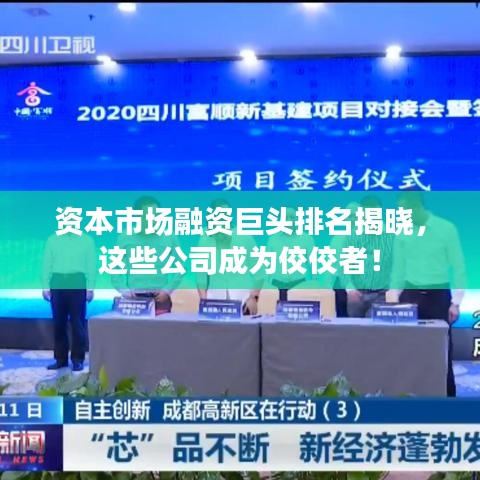 資本市場融資巨頭排名揭曉，這些公司成為佼佼者！