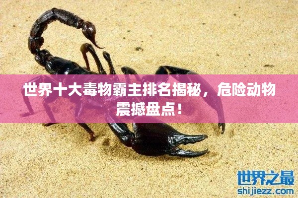 世界十大毒物霸主排名揭秘，危險(xiǎn)動物震撼盤點(diǎn)！