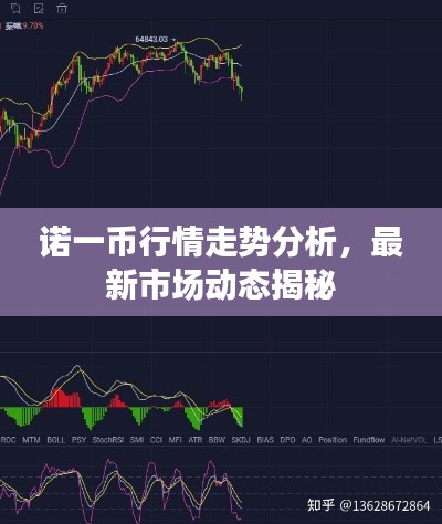 諾一幣行情走勢分析，最新市場動態(tài)揭秘
