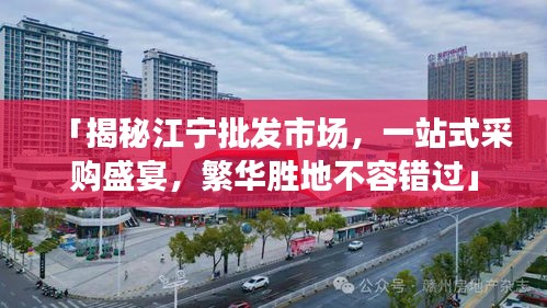 「揭秘江寧批發(fā)市場，一站式采購盛宴，繁華勝地不容錯過」