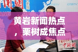 黃巖新聞熱點，栗樹成焦點，引發(fā)關注熱議