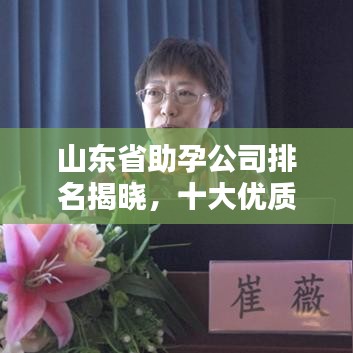山東省助孕公司排名揭曉，十大優(yōu)質(zhì)助孕機構(gòu)及服務(wù)概覽