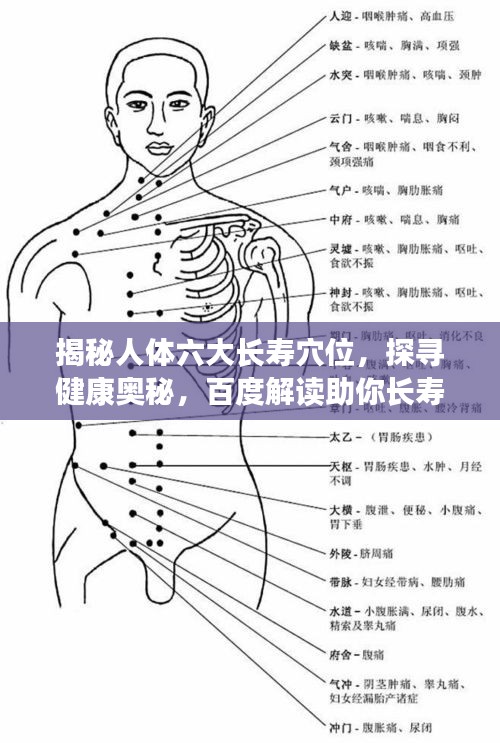 揭秘人體六大長壽穴位，探尋健康奧秘，百度解讀助你長壽健康