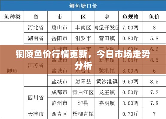 銅陵魚價(jià)行情更新，今日市場(chǎng)走勢(shì)分析