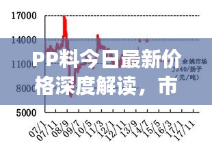 PP料今日最新價格深度解讀，市場動態(tài)、趨勢分析與預測