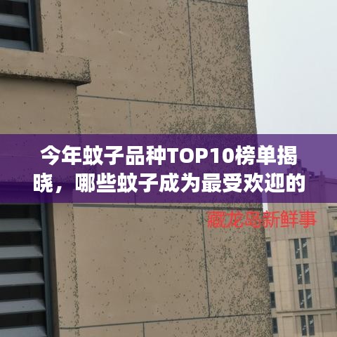 今年蚊子品種TOP10榜單揭曉，哪些蚊子成為最受歡迎的害蟲？