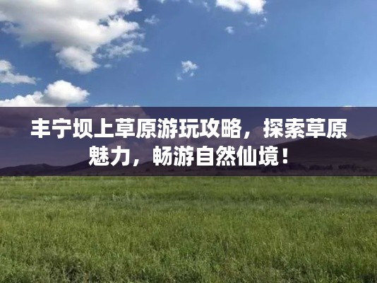 豐寧壩上草原游玩攻略，探索草原魅力，暢游自然仙境！