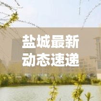 鹽城最新動(dòng)態(tài)速遞