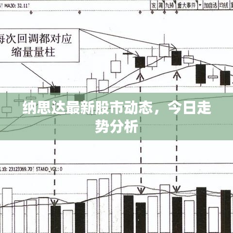 納思達最新股市動態(tài)，今日走勢分析
