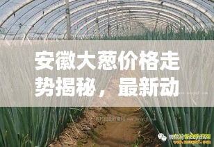 落落大方 第3頁