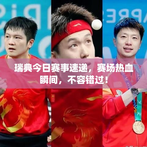 瑞典今日賽事速遞，賽場熱血瞬間，不容錯(cuò)過！
