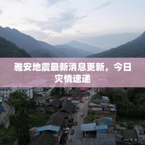 雅安地震最新消息更新，今日災情速遞