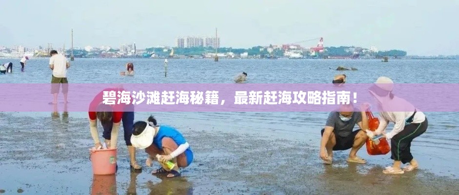碧海沙灘趕海秘籍，最新趕海攻略指南！