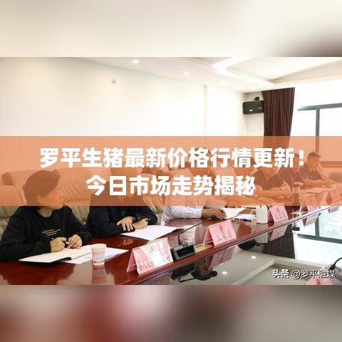 羅平生豬最新價格行情更新！今日市場走勢揭秘