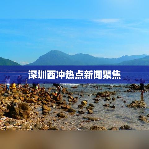深圳西沖熱點(diǎn)新聞聚焦
