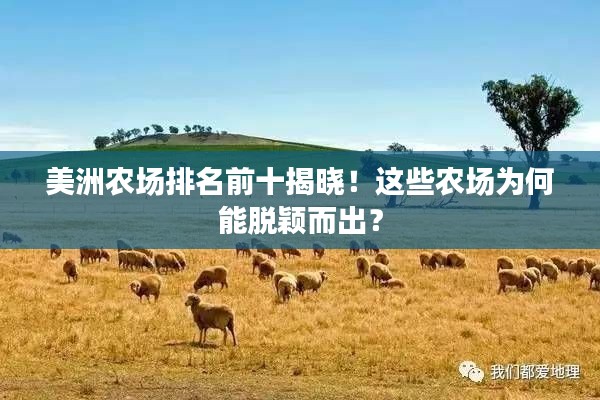 美洲農(nóng)場(chǎng)排名前十揭曉！這些農(nóng)場(chǎng)為何能脫穎而出？