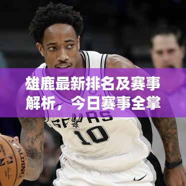 雄鹿最新排名及賽事解析，今日賽事全掌握