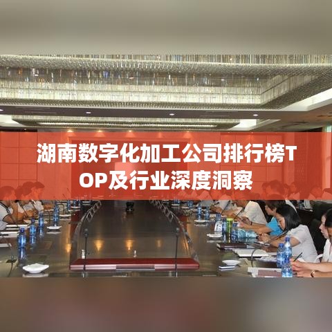 湖南數(shù)字化加工公司排行榜TOP及行業(yè)深度洞察