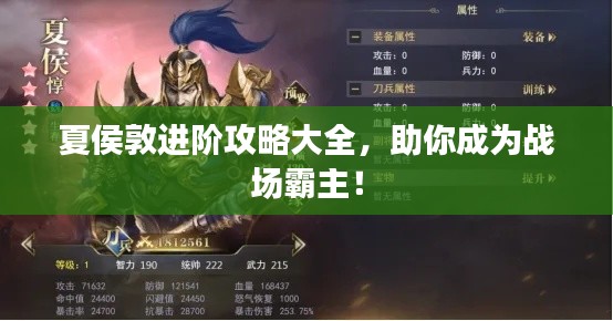 夏侯敦進(jìn)階攻略大全，助你成為戰(zhàn)場(chǎng)霸主！