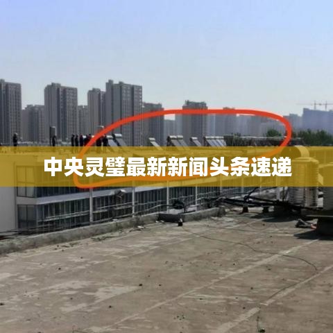 中央靈璧最新新聞?lì)^條速遞