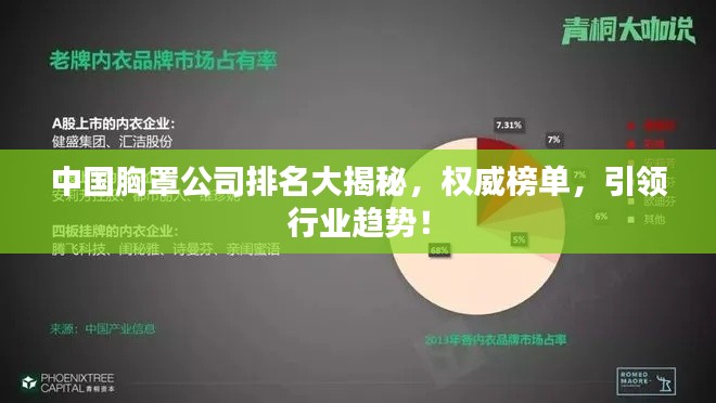 中國(guó)胸罩公司排名大揭秘，權(quán)威榜單，引領(lǐng)行業(yè)趨勢(shì)！