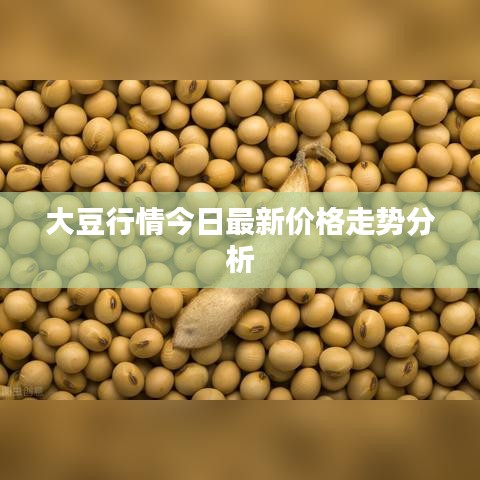 大豆行情今日最新價格走勢分析