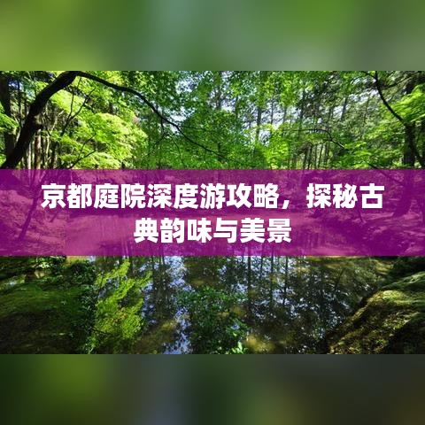 京都庭院深度游攻略，探秘古典韻味與美景