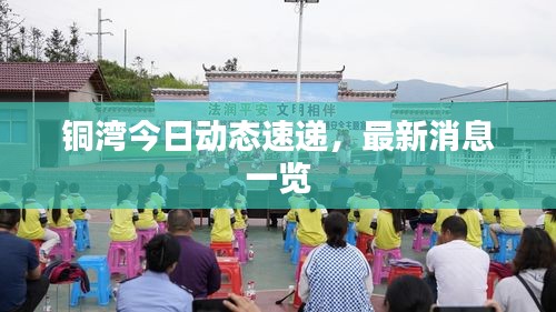 銅灣今日動態(tài)速遞，最新消息一覽