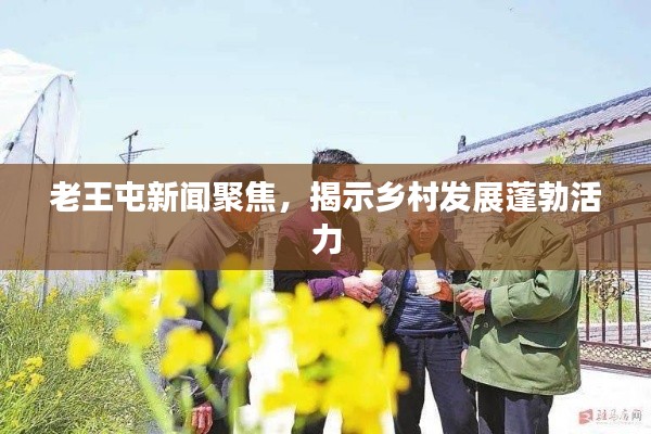 老王屯新聞聚焦，揭示鄉(xiāng)村發(fā)展蓬勃活力