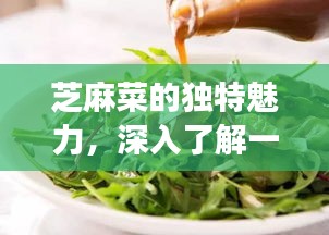坌鳥(niǎo)先飛 第3頁(yè)