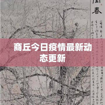 商丘今日疫情最新動態(tài)更新