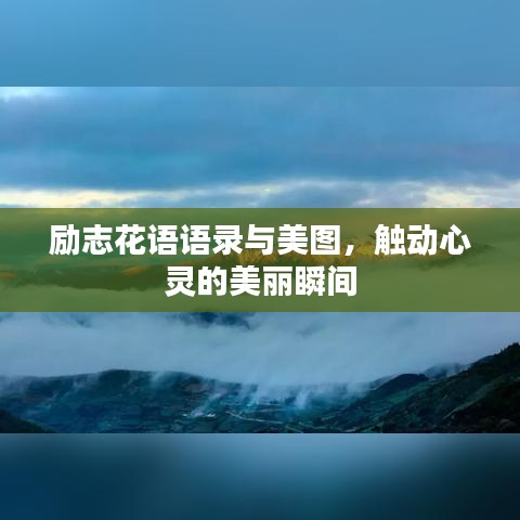 勵(lì)志花語(yǔ)語(yǔ)錄與美圖，觸動(dòng)心靈的美麗瞬間