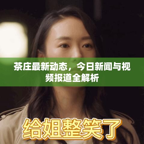 茶莊最新動態(tài)，今日新聞與視頻報道全解析