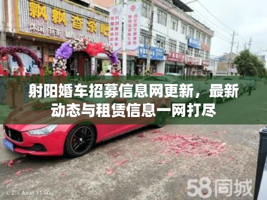 射陽婚車招募信息網(wǎng)更新，最新動態(tài)與租賃信息一網(wǎng)打盡