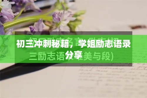 初三沖刺秘籍，學(xué)姐勵志語錄分享
