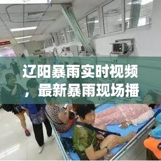 遼陽暴雨實時視頻，最新暴雨現(xiàn)場播放