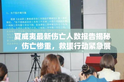 夏威夷最新傷亡人數(shù)報(bào)告揭秘，傷亡慘重，救援行動(dòng)緊急展開(kāi)！
