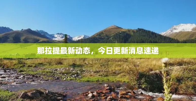那拉提最新動(dòng)態(tài)，今日更新消息速遞