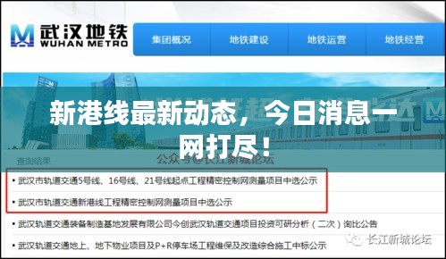 新港線最新動態(tài)，今日消息一網(wǎng)打盡！