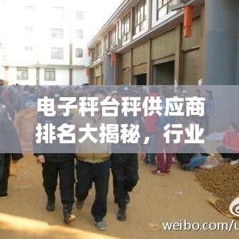 電子秤臺秤供應(yīng)商排名大揭秘，行業(yè)權(quán)威榜單，不容錯過！