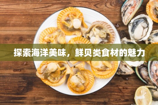 探索海洋美味，鮮貝類食材的魅力