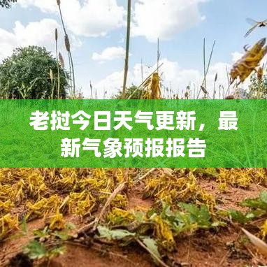 老撾今日天氣更新，最新氣象預(yù)報(bào)報(bào)告