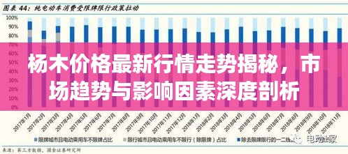 楊木價格最新行情走勢揭秘，市場趨勢與影響因素深度剖析