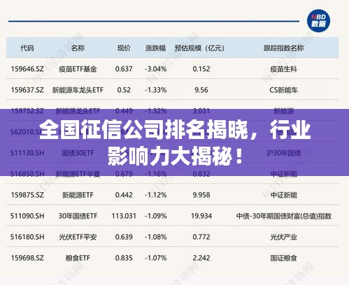 全國征信公司排名揭曉，行業(yè)影響力大揭秘！
